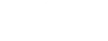 Logo Footer